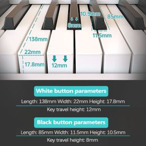 Đàn Piano Gấp 88 Phím Cảm Ứng Lực Bora BX20